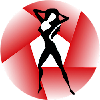 logo Dick van Belle